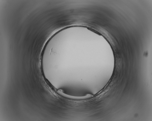 X0000097611292200803281005