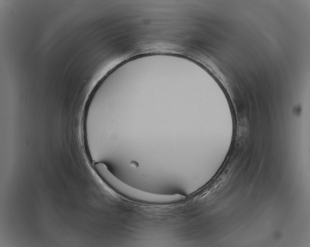 X0000097611293200803281005