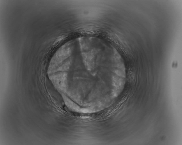 X0000097611297200803281004