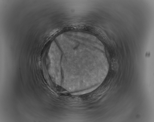 X0000097611298200803281004