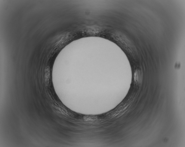 X0000097611299200803281004