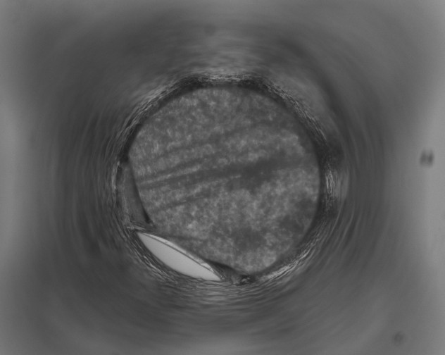 X0000097611300200803281004