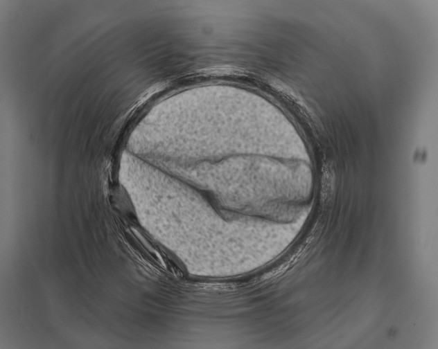 X0000097611305200803281005