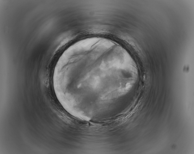 X0000097611306200803281005