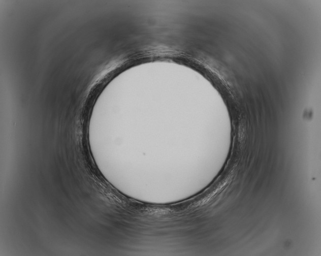 X0000097611309200803281005