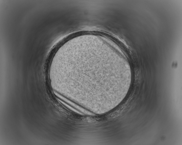 X0000097611311200803281005