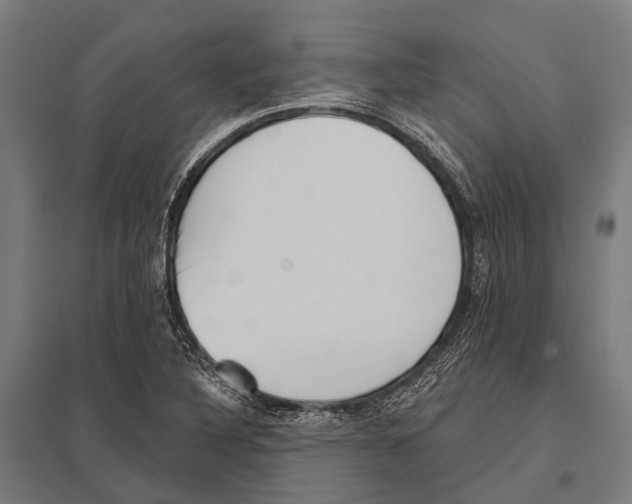 X0000097611316200803281005