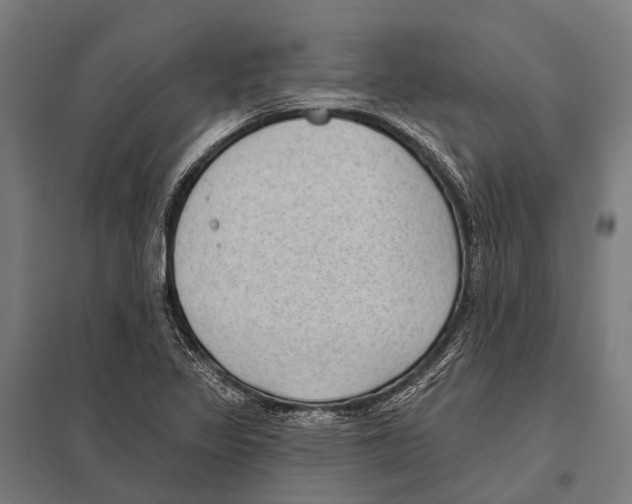 X0000097611317200803281005