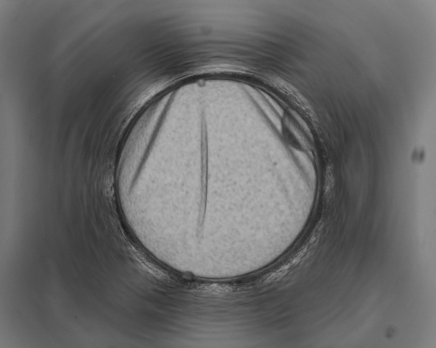 X0000097611321200803281005