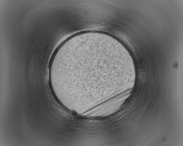 X0000097611324200803281005