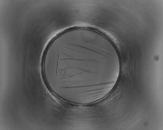 X0000097611327200803281005