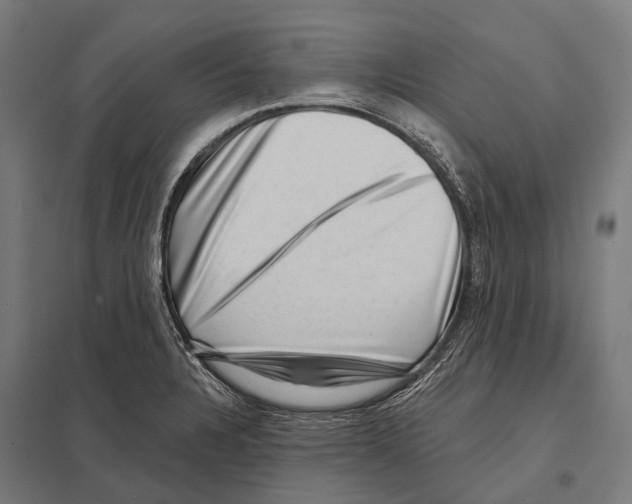 X0000097611328200803281005