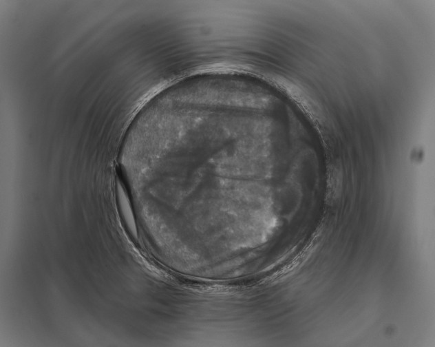 X0000097611329200803281005