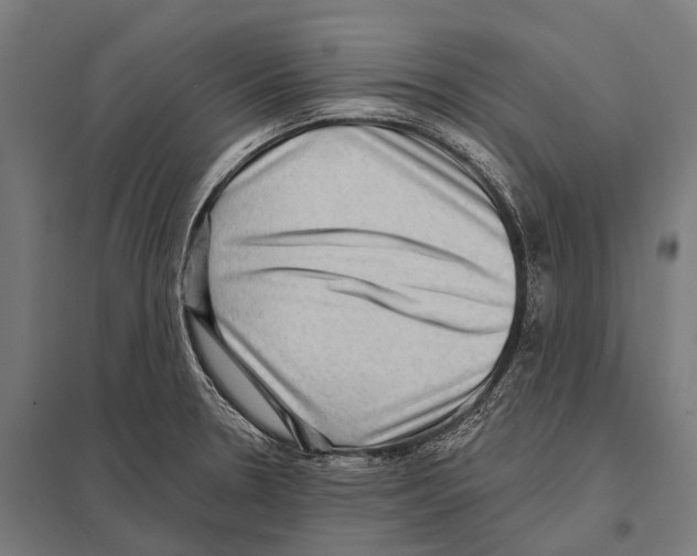 X0000097611330200803281005