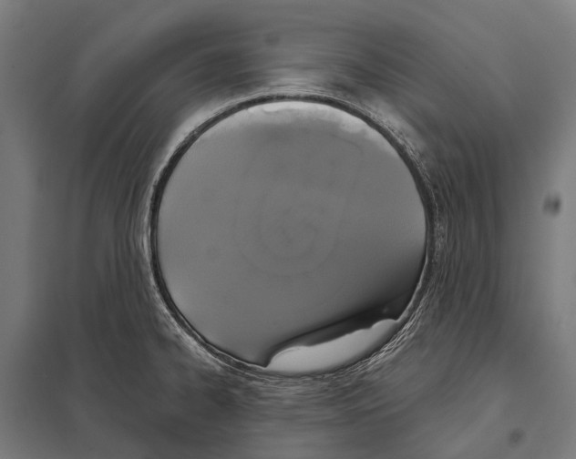 X0000097611334200803281005