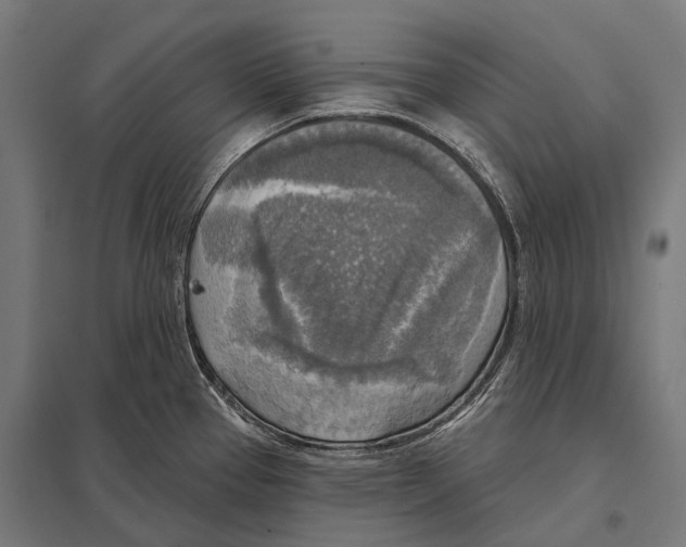 X0000097611337200803281005