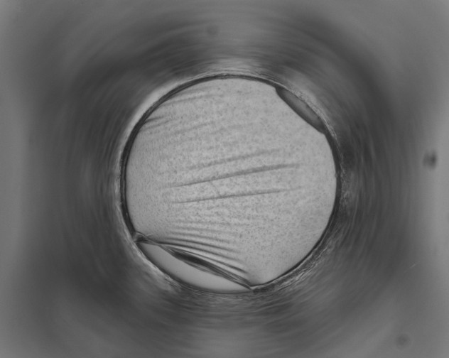 X0000097611339200803281005