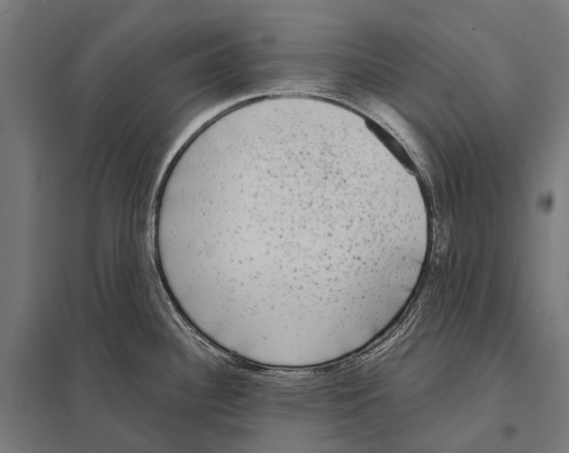 X0000097611340200803281005