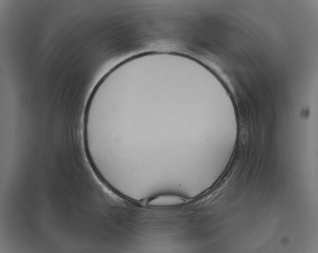 X0000097611343200803281005