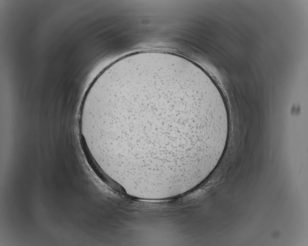 X0000097611344200803281005