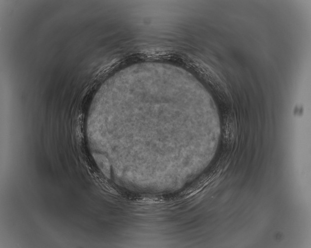 X0000097611346200803281004