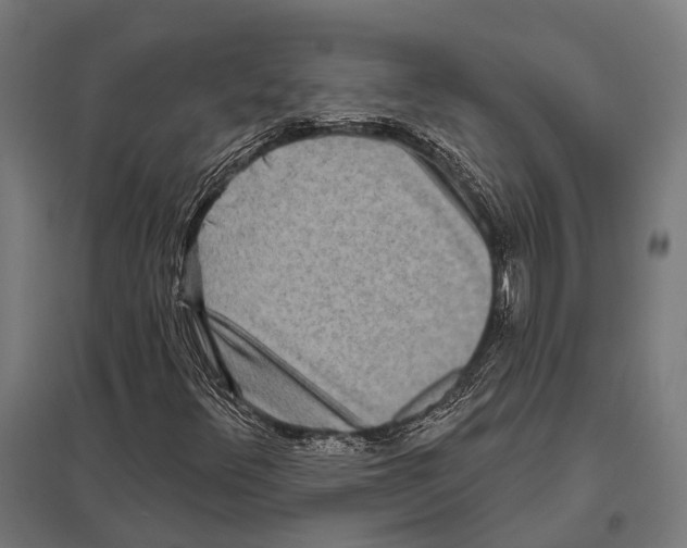 X0000097611348200803281004