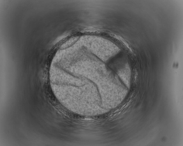 X0000097611350200803281004