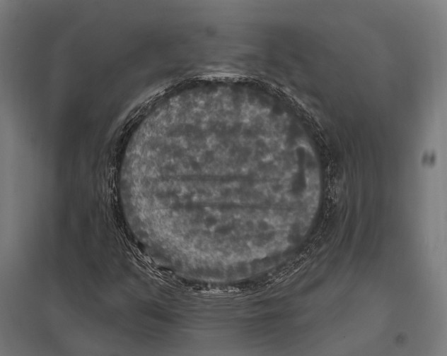 X0000097611351200803281004