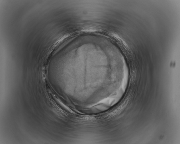 X0000097611353200803281004