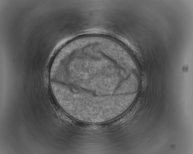 X0000097611358200803281004