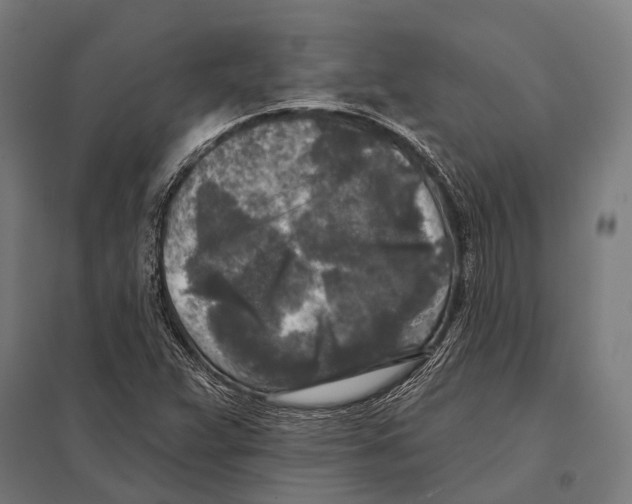 X0000097611359200803281004