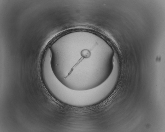 X0000097611360200803281004