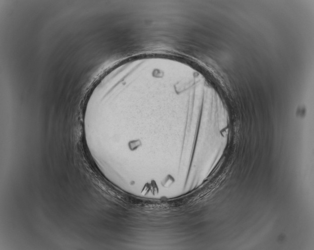 X0000097611363200803281004