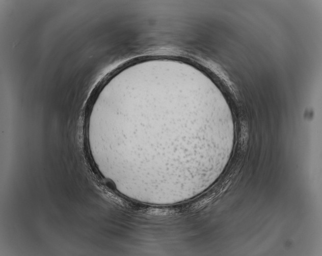 X0000097611364200803281004