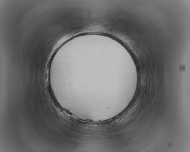 X0000097611366200803281004