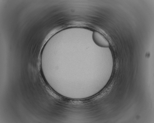 X0000097611370200803281004