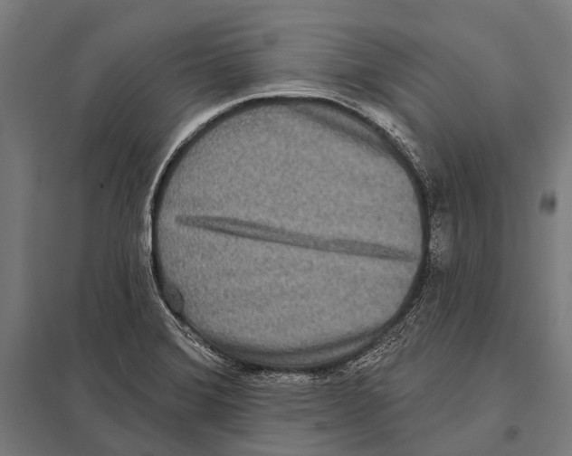 X0000097611372200803281004