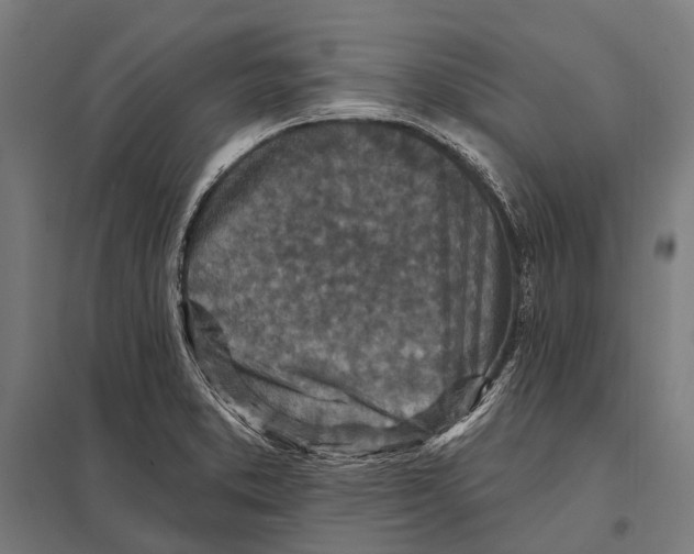 X0000097611373200803281004