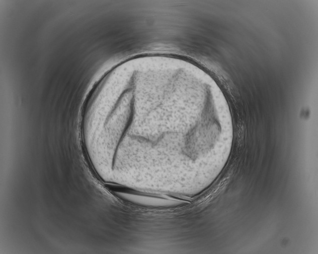 X0000097611374200803281004