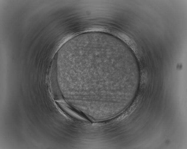 X0000097611377200803281004