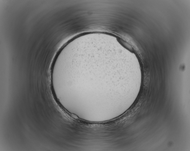 X0000097611380200803281004