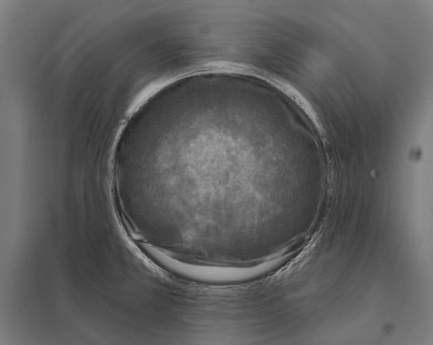 X0000097611381200803281004