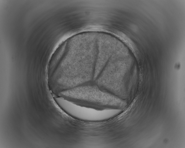 X0000097611382200803281004