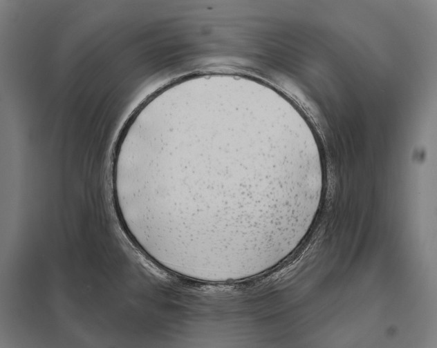 X0000097611384200803281004