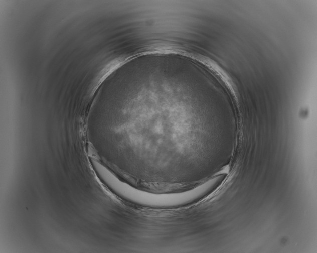 X0000097611385200803281004