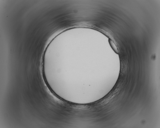 X0000097611387200803281004