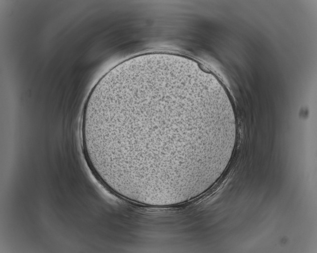 X0000097611391200803281004