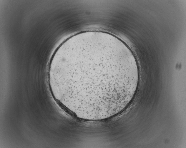 X0000097611392200803281004