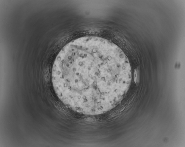 X0000097611395200803281003