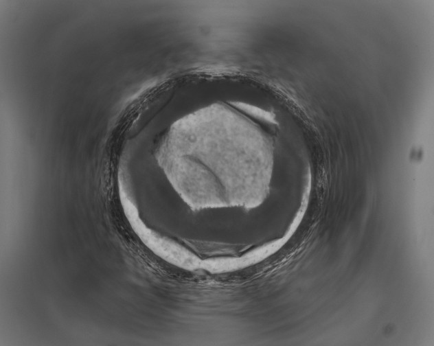 X0000097611398200803281003